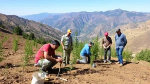 Workers planting native tree seedlings in degraded hillside landscape, wearing work clothes and holding saplings, mountains visible in background, natural daylight, diverse team composition
