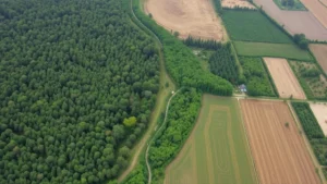 Aerial view of natural forest ecosystem adjacent to cleared agricultural land showing habitat transition and human land-use transformation impact on biodiversity and carbon storage