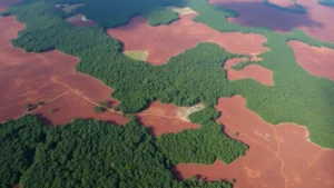 Aerial photograph of vast deforestation clearing with remaining forest patches in Amazon rainforest, showing stark contrast between cleared brown earth and green forest canopy, natural lighting, no text or labels