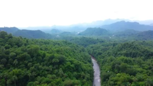 Aerial view of reforested tropical landscape with vibrant green canopy, pristine river valley, misty mountains in background, Costa Rican countryside, biodiversity hotspot, no text or labels