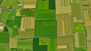 Satellite view of agricultural fields with varying vegetation density showing precision irrigation patterns and crop health variations, photorealistic Earth observation perspective