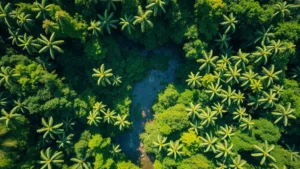 Aerial view of lush tropical rainforest canopy with winding river, diverse green vegetation creating natural patterns, bright natural sunlight filtering through dense foliage, photorealistic high-resolution nature landscape