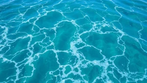 Photorealistic ocean surface showing phytoplankton bloom with rich turquoise coloration, foam patterns, and clear water gradually transitioning to deeper blue, natural lighting with sun reflection, no text or labels
